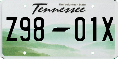 TN license plate Z9801X