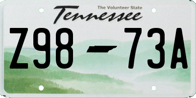TN license plate Z9873A