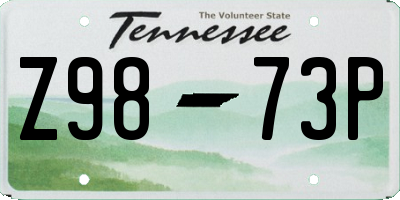 TN license plate Z9873P