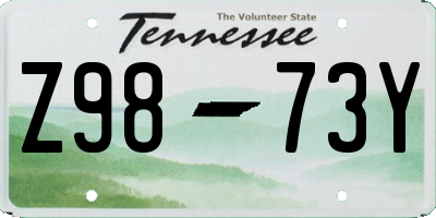 TN license plate Z9873Y