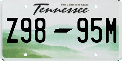 TN license plate Z9895M