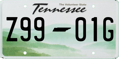 TN license plate Z9901G
