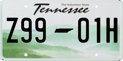 TN license plate Z9901H