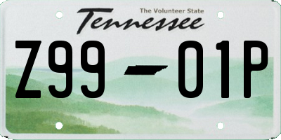 TN license plate Z9901P