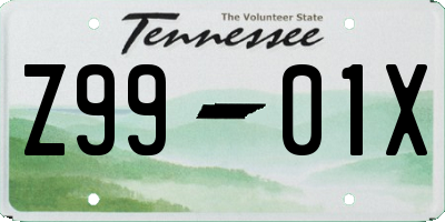 TN license plate Z9901X