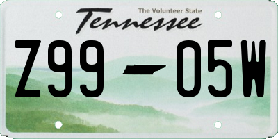 TN license plate Z9905W