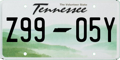 TN license plate Z9905Y