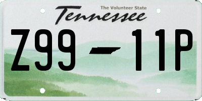 TN license plate Z9911P