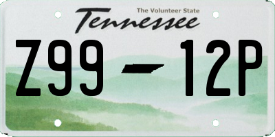 TN license plate Z9912P