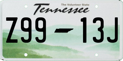 TN license plate Z9913J