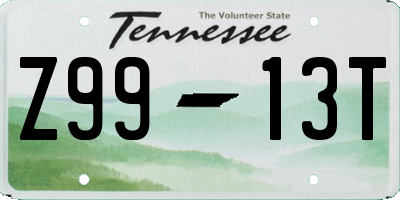 TN license plate Z9913T