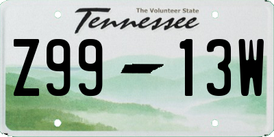 TN license plate Z9913W