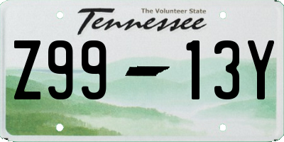 TN license plate Z9913Y