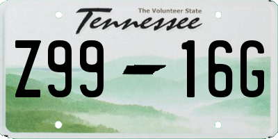 TN license plate Z9916G