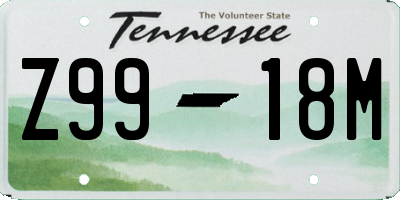 TN license plate Z9918M