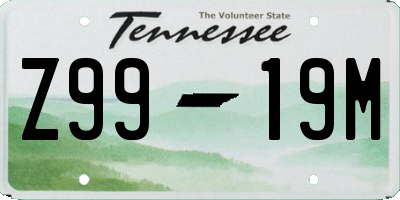 TN license plate Z9919M