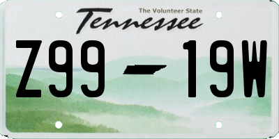 TN license plate Z9919W