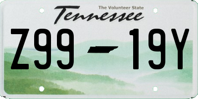 TN license plate Z9919Y
