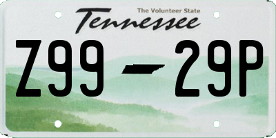 TN license plate Z9929P