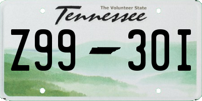 TN license plate Z9930I