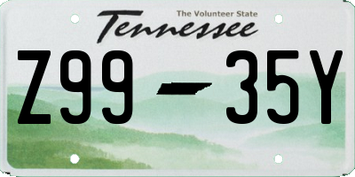 TN license plate Z9935Y