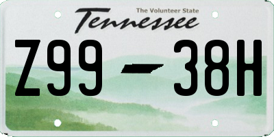 TN license plate Z9938H