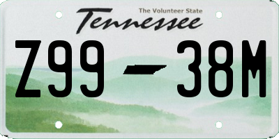 TN license plate Z9938M