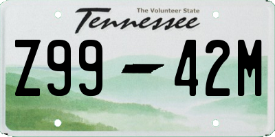 TN license plate Z9942M