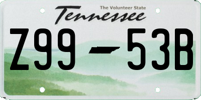 TN license plate Z9953B