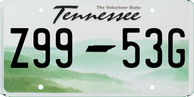 TN license plate Z9953G