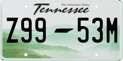 TN license plate Z9953M