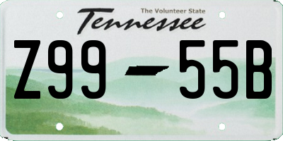 TN license plate Z9955B