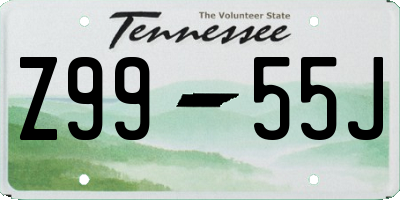 TN license plate Z9955J