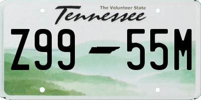 TN license plate Z9955M