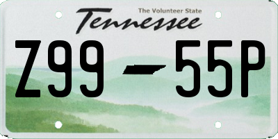 TN license plate Z9955P