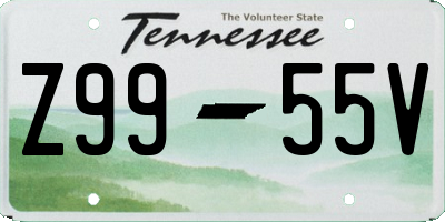 TN license plate Z9955V