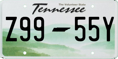 TN license plate Z9955Y