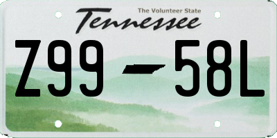 TN license plate Z9958L