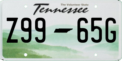 TN license plate Z9965G