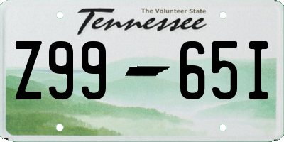 TN license plate Z9965I