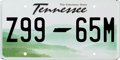 TN license plate Z9965M