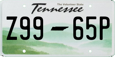 TN license plate Z9965P