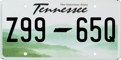 TN license plate Z9965Q