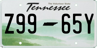 TN license plate Z9965Y