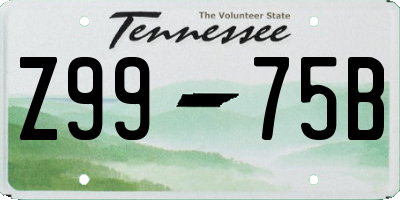 TN license plate Z9975B