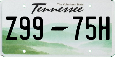 TN license plate Z9975H