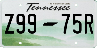 TN license plate Z9975R