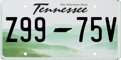 TN license plate Z9975V