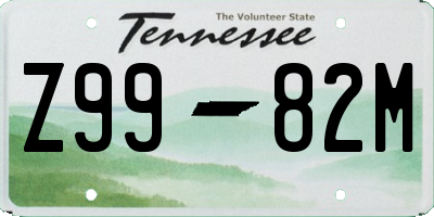 TN license plate Z9982M
