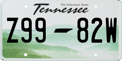 TN license plate Z9982W